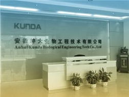 一呼百应 技术赋能，智联未来——上海技术咨询频道解析